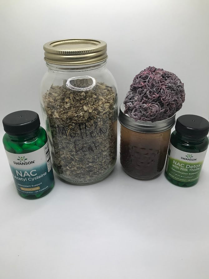 Respiratory Health (Lung)