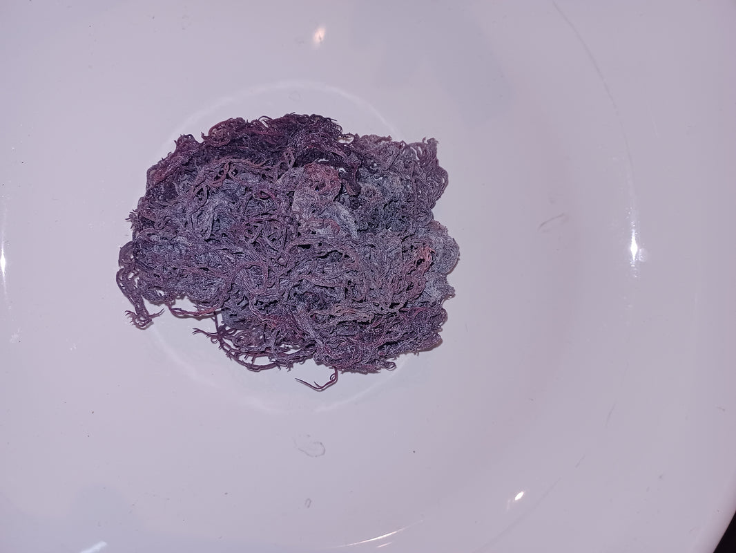 Raw Purple Sea Moss