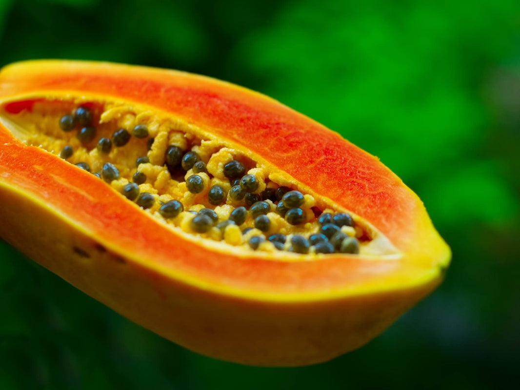 Papaya Enzymes with Chlorophyll